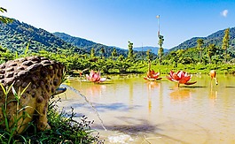 山,森林,楊