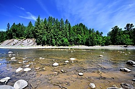 河,水,樹