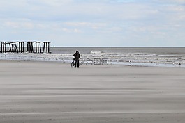 海,海洋,水