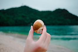 海,海洋,水