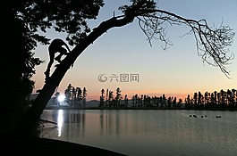 人,男子,攀登
