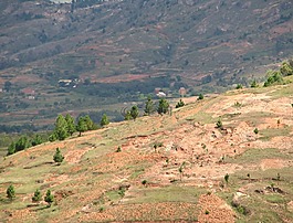 馬達(dá)加斯加,小山,高地