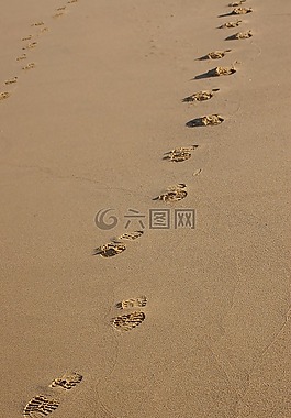 足跡,沙,海灘