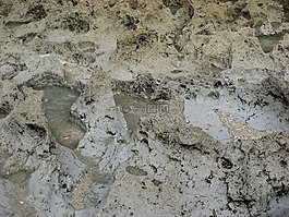 石,環(huán)境,粗