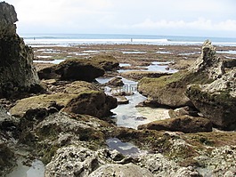 旅行,石