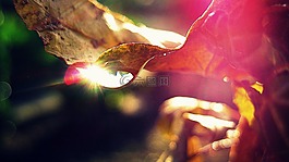 下降,雨,抽象