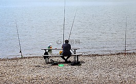 釣魚(yú)者,魚(yú),捕魚(yú)