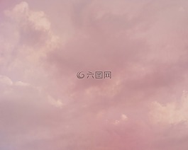 背景,紋理,羅莎
