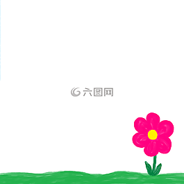 雛菊,花,開花