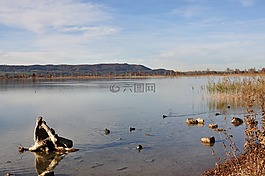 kochelsee,景觀,全景