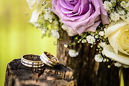 婚禮,環(huán),訂婚