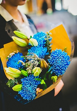 花,蓝色,多彩