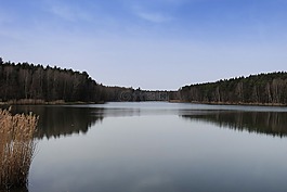 湖,樹木,反映