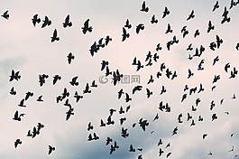 天空,云,自然