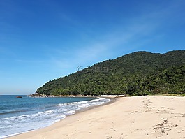 mar,海滩,大西洋森林