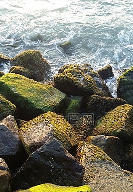 水,自然,石