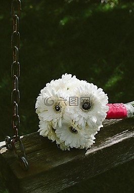 白,花,花瓣