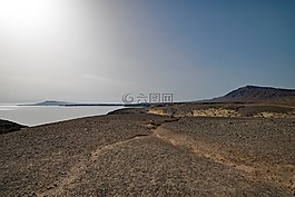 哥斯達(dá)黎加德鵡,蘭薩羅特島,加那利群島