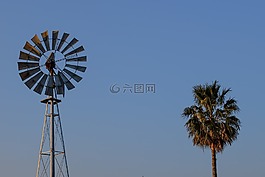風(fēng)車,棕櫚樹,農(nóng)村