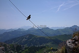 ponten,首脑会议,寒鸦