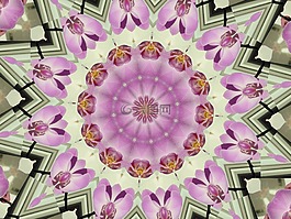 曼陀羅,蘭花,萬花筒