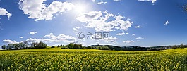 全景,性質(zhì),景觀