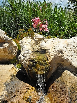 花園,噴泉,水