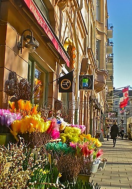 花卉,鮮花店,mariatorget