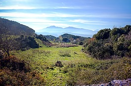 农舍,山,性质