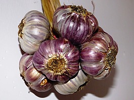 大蒜,厨房,香料