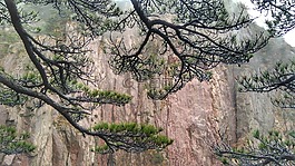 黃山,風景,云霧