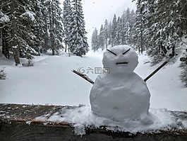 雪,男子,冬天
