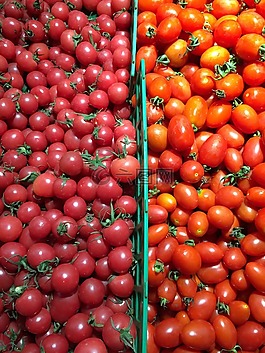 蔬菜,西紅柿,紅色