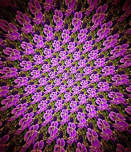 花,模式,紫色