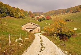 路,山,房子