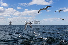 海,海洋,藍(lán)色