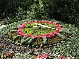 花鐘,時鐘,鮮花
