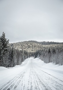 雪,白,冬天