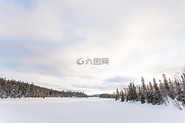 雪,白,冬天