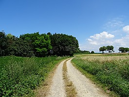性質(zhì),景觀,離