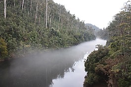河,霧,薄霧