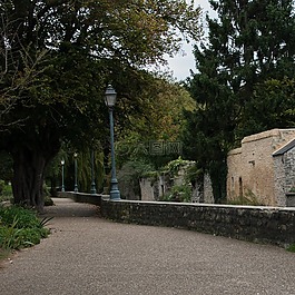公园,路径,allee