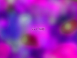 紋理,豐富多彩,課程