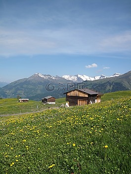 山,景觀,阿爾卑斯山
