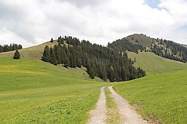 landschaft,贝尔热,阿尔卑斯山