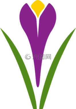 藏紅花,花,廠
