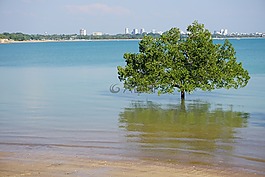 海灘,城市,平靜
