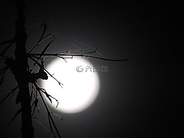 月亮,陰影,光