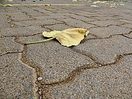 摊铺,路面,叶