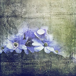 剪贴簿,纹理,鲜花
